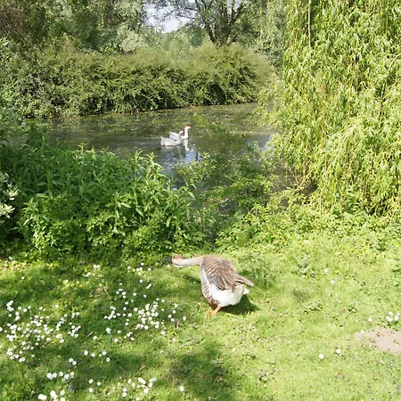 Le Paddock Du Val De Lys 招待所 3*