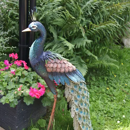 Le Paddock Du Val De Lys