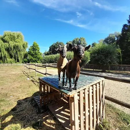 Le Paddock Du Val De Lys ゲストハウス