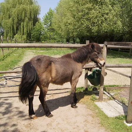 ゲストハウス Le Paddock Du Val De Lys 3*