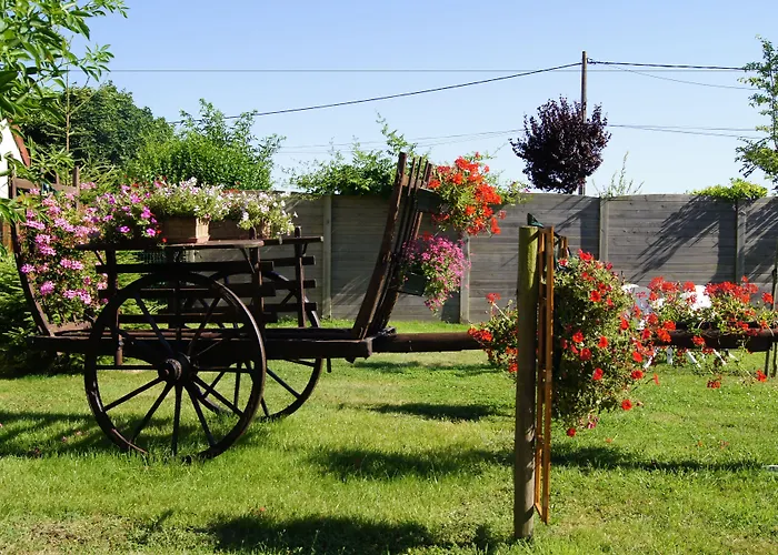 Le Paddock Du Val De Lys 3*