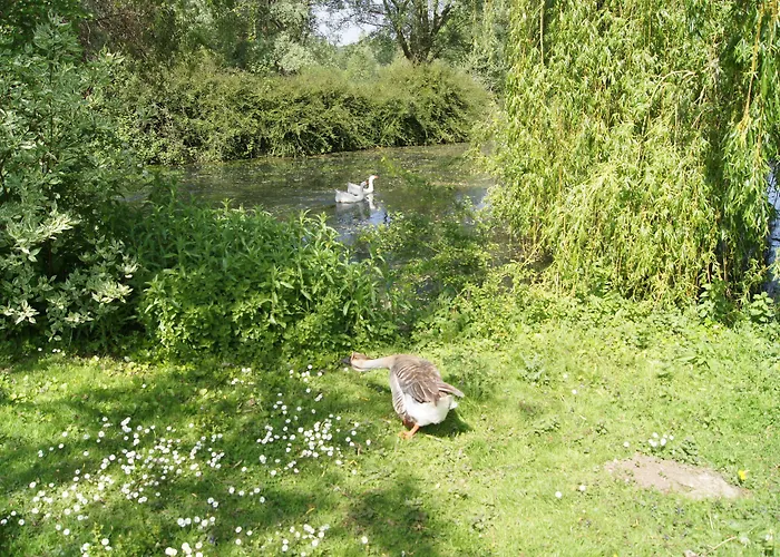 Le Paddock Du Val De Lys بيت ضيافة 3*