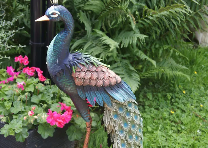 Le Paddock Du Val De Lys