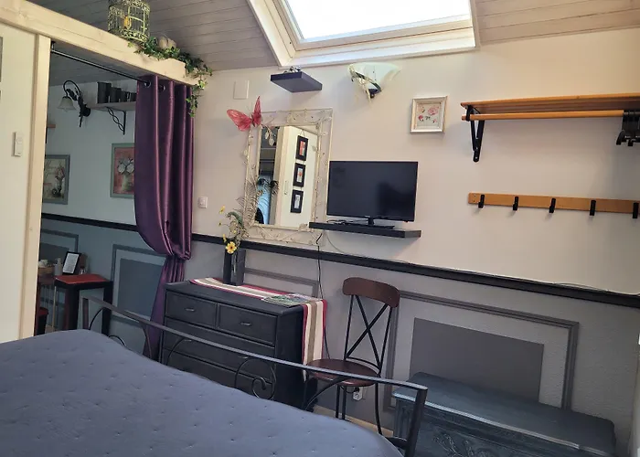 Le Paddock Du Val De Lys 3*